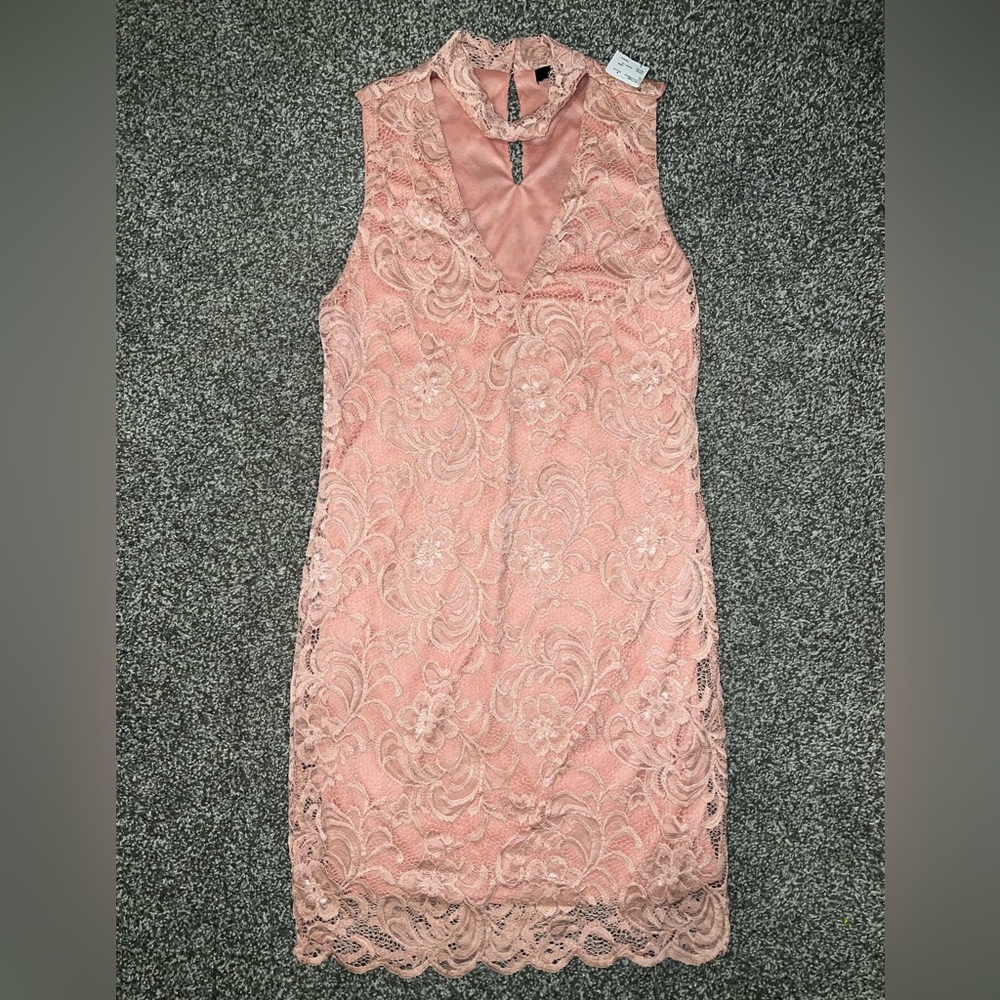NWT Light Pink Lace Dress